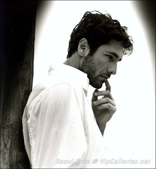 Vipgalleries Net Raoul Bova Freemalecelebrityarchive Com